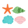 set of sea shells and starfish on white background Royalty Free Stock Photo