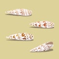 Set of sea shells vector illustration, isolate marine life