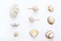 Set of sea shells on white background.