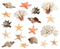 Set with sea stars, shells and corals isolated on white Royalty Free Stock Photo