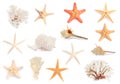 Set with sea stars, shells and corals isolated on white Royalty Free Stock Photo