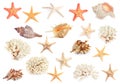 Set with sea stars, shells and corals isolated on white Royalty Free Stock Photo