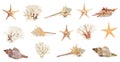 Set with sea stars, shells and corals isolated on white Royalty Free Stock Photo