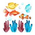 set of sea world painted in watercolor isolated white background hand drawn