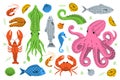 Set of seafood sketch. Sea animal colored line banner. Seafood meal menu illustration. Fishes, lobster, squid, octopus