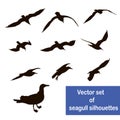 Set of seagull silhouettes