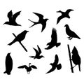 Set of seagull silhouettes on white background. Vector illustration.