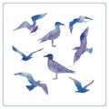 Set of watercolor seagulls silhouettes