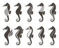 Set of seahorse