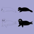 Set of seal pups lying in different poses. Outline and simple style vector illustration. Isolated design element Royalty Free Stock Photo