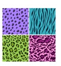 Set of seamless animal bright color patterns, vector feline or cat background Royalty Free Stock Photo