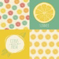 Set of seamless backgrounds. Slices of citrus fruit. Vector illu