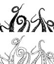 Set of seamless border of black silhouette and hand drawn sketches octopus tentacles. Creepy limbs of marine inhabitants. Vector Royalty Free Stock Photo