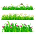 Set of seamless borders with fresh green grass and flowers Royalty Free Stock Photo