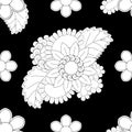 Set of seamless with delicate flowers in black and white color flower patterns on black backgrounds, sample for fabric and print