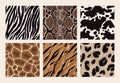 Set of seamless exotic african animal skins. Zebra, leopard, cheetah, giraffe, snake, jaguar, tiger and cow vector Royalty Free Stock Photo
