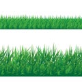 Set of seamless grass border isolated on white background. Royalty Free Stock Photo