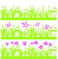 Set of seamless green grass, pink flowers pattern on white background, design element