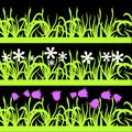 Set of seamless green grass, pink and white flowers pattern on black background, design element Royalty Free Stock Photo