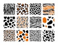 Set of seamless pattern with black jaguar leopard zebra tiger lion animal skin print