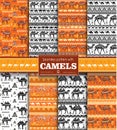 Set of Seamless pattern with camels