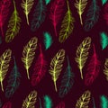 Set of seamless pattern vector feathers. EPS