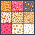 Set of seamless patterns with autumn mushrooms, leaves, berries. Vector graphics Royalty Free Stock Photo