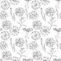 A set of seamless patterns with cornflowers 1000x1000, vector graphics. Royalty Free Stock Photo