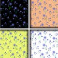 Set of seamless patterns with cornflowers. vector illustration. Royalty Free Stock Photo