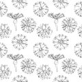 A set of seamless patterns with cornflowers 1000x1000, vector graphics. Royalty Free Stock Photo