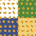 set of seamless patterns with Delicious juicy apricot. Summer fruits on table. Ornament for decoration and printing on fabric. Royalty Free Stock Photo