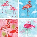 Set of Seamless patterns with flamingoes