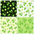 Set of seamless patterns with green limes. Vector illustration.