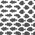 Set of seamless patterns with the image of tropical fish. Black and white background.