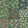 Set of Seamless Patterns with Nuts and Seeds.