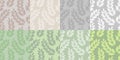 Set of seamless patterns with odd-pinnate complex leaves Royalty Free Stock Photo