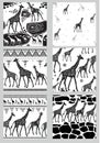 Set of Seamless patterns with stylized Giraffes Royalty Free Stock Photo