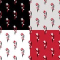 Set of seamless patterns with tulip flowers. Royalty Free Stock Photo
