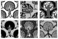 Set of seamless patterns, vector hand drawn repeating illustration, decorative ornamental stylized endless trees. Black and white Royalty Free Stock Photo