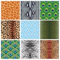 Set of seamless textures of animal skins, Royalty Free Stock Photo