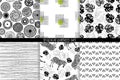 Set of seamless tropical patterns of Zebra and monster sheets.Vector illustration