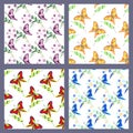 Set of seamless vector patterns with insects, colorful backgrounds with butterflies Royalty Free Stock Photo