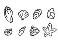 Set of seashells in doodle style, black outline sketch isolated elements on white background for design template. Ocean flora. Royalty Free Stock Photo
