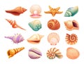 Set of seashells illustration