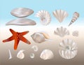 set of seashells and starfish, pearls, broken seashells on the seashore