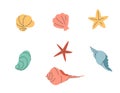 Set of seashells and starfish on a white background. Royalty Free Stock Photo