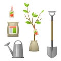 Set of seedling fruit tree,shovel, fertilizers and watering can. Illustration for agricultural booklets, flyers garden