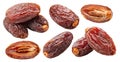 Set of semi-dry dates, or date palm fruits isolated on white background. File contains clipping paths