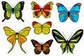 Set of seven multi-colored butterflies Royalty Free Stock Photo