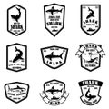 Set of shark fishing emblems. Design element for logo, label, sign, poster, t shirt. Royalty Free Stock Photo